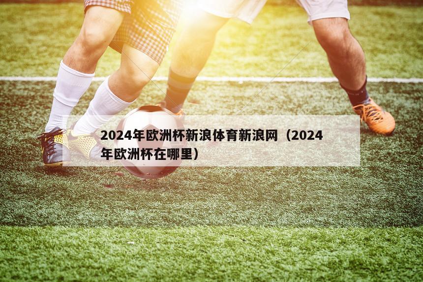 2024年欧洲杯新浪体育新浪网（2024年欧洲杯在哪里）