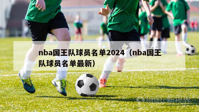 nba国王队球员名单2024（nba国王队球员名单最新）