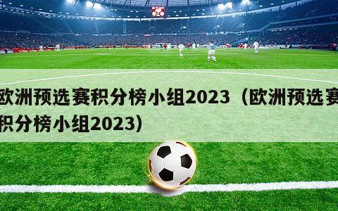 欧洲预选赛积分榜小组2023（欧洲预选赛积分榜小组2023）