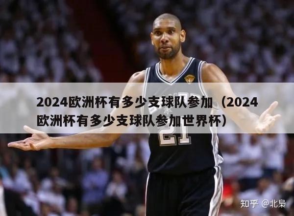 2024欧洲杯有多少支球队参加（2024欧洲杯有多少支球队参加世界杯）