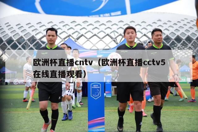 欧洲杯直播cntv（欧洲杯直播cctv5在线直播观看）