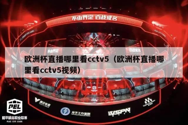 欧洲杯直播哪里看cctv5（欧洲杯直播哪里看cctv5视频）