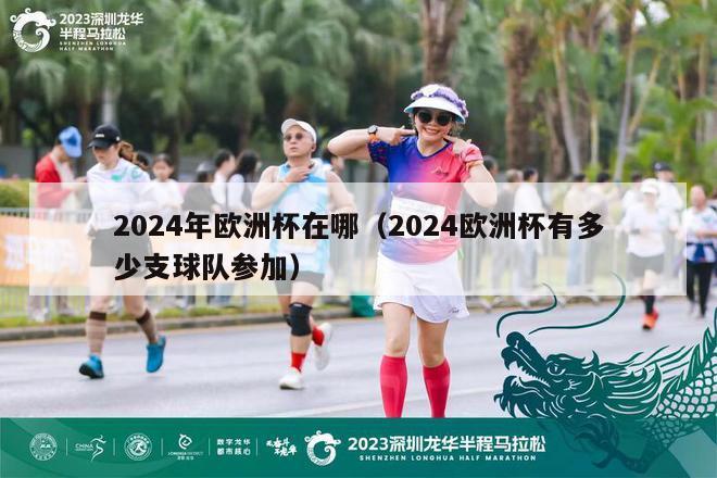 2024年欧洲杯在哪（2024欧洲杯有多少支球队参加）