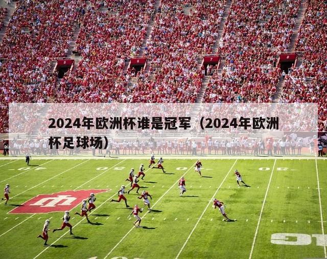 2024年欧洲杯谁是冠军（2024年欧洲杯足球场）